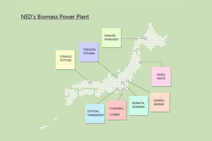 NED's Biomass Power Plant
